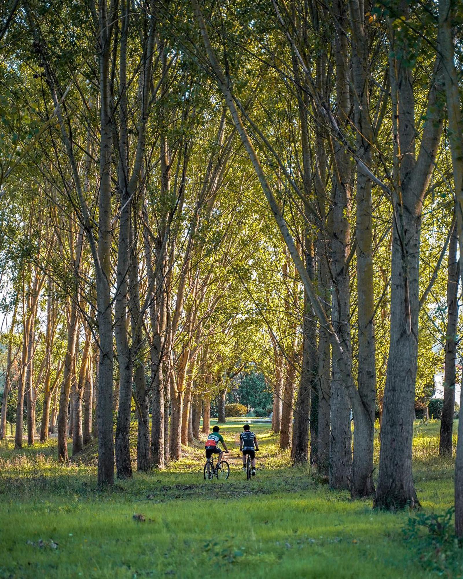 Viesca Suites & Villas Il Borro Toscana Reggello Eksteriør bilde